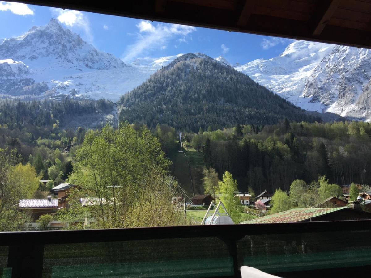 שאמוני Appartement Face Au Mont Blanc & Glaciers מראה חיצוני תמונה
