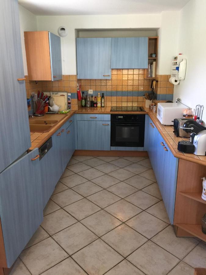 שאמוני Appartement Face Au Mont Blanc & Glaciers מראה חיצוני תמונה