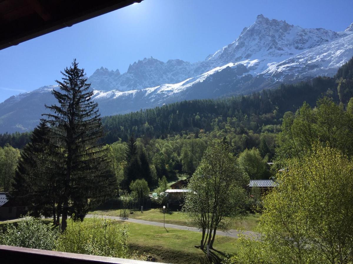 שאמוני Appartement Face Au Mont Blanc & Glaciers מראה חיצוני תמונה