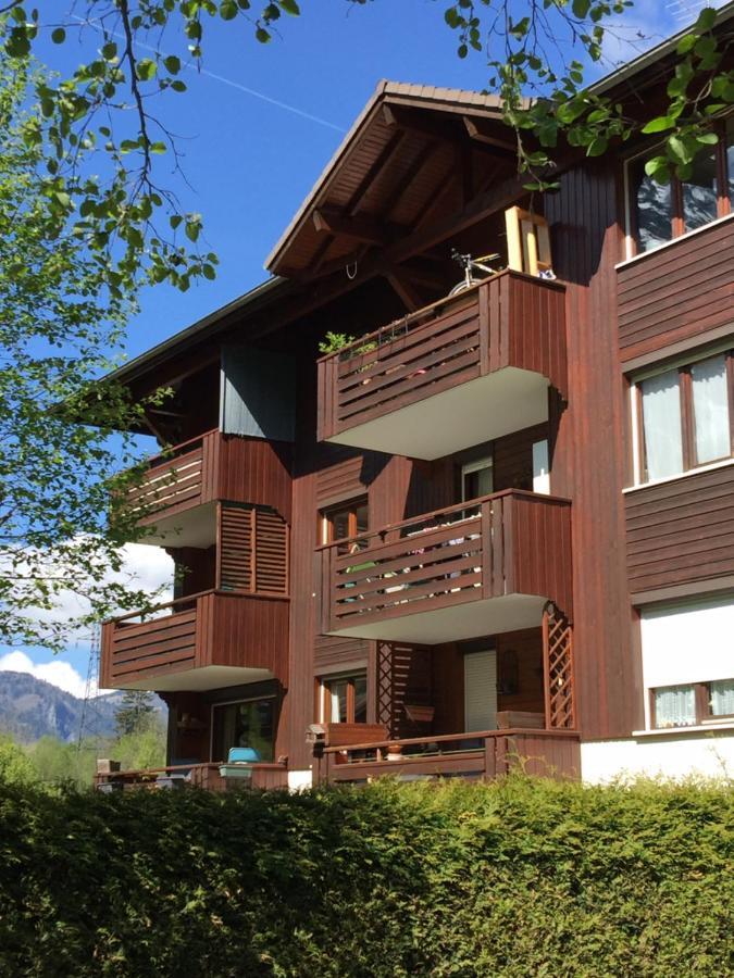 שאמוני Appartement Face Au Mont Blanc & Glaciers מראה חיצוני תמונה