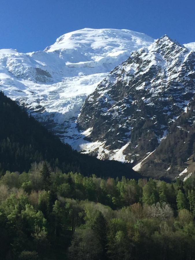 שאמוני Appartement Face Au Mont Blanc & Glaciers מראה חיצוני תמונה